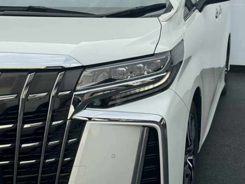 ALPHARD-7