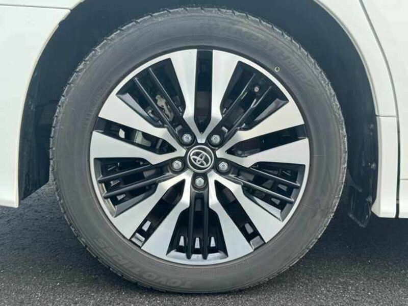 ALPHARD-10