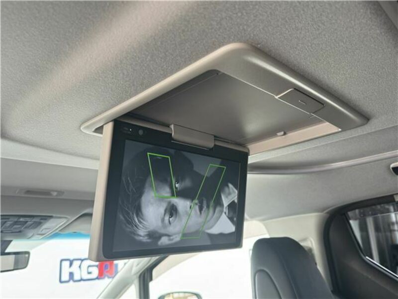 ALPHARD-42