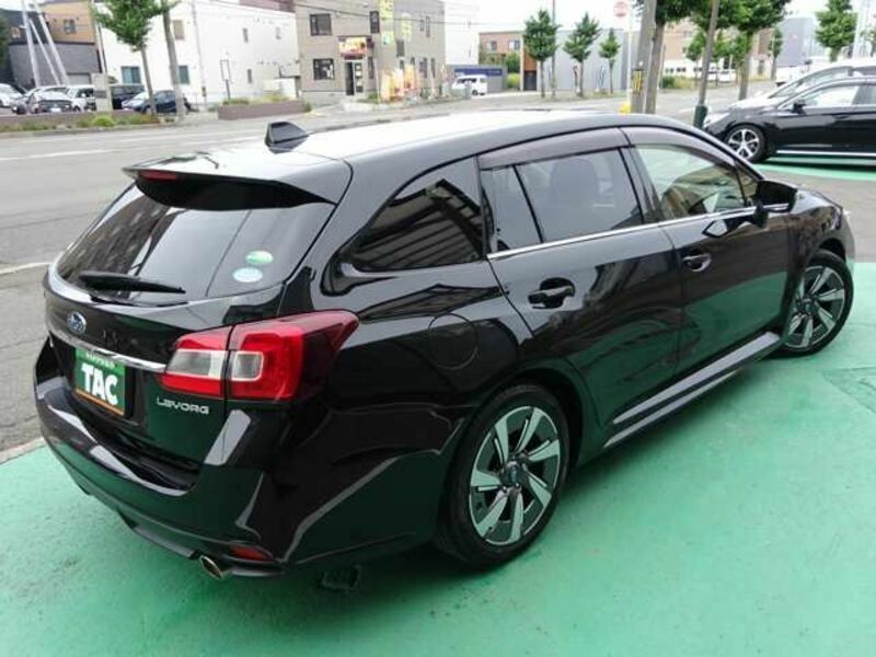 LEVORG