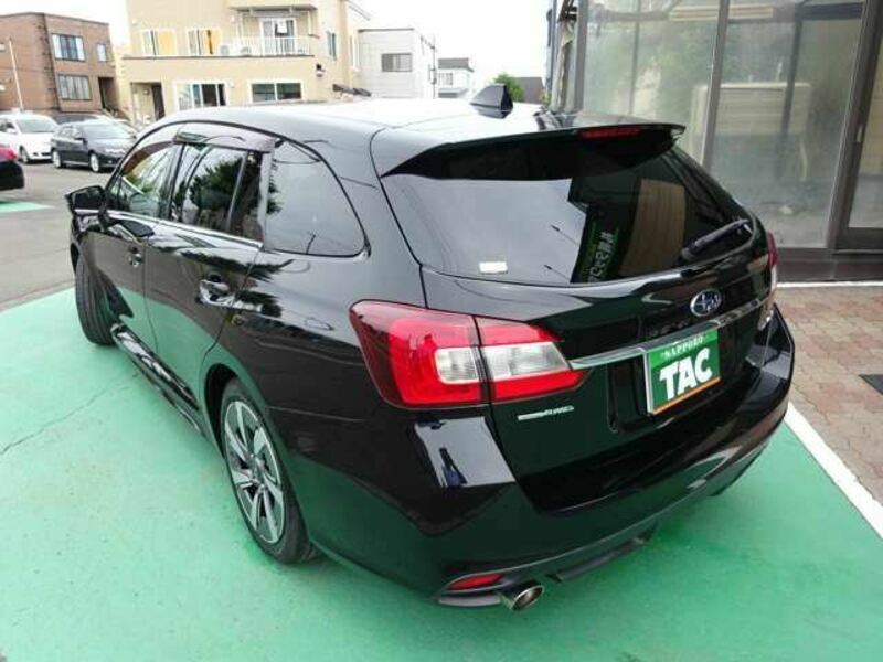 LEVORG