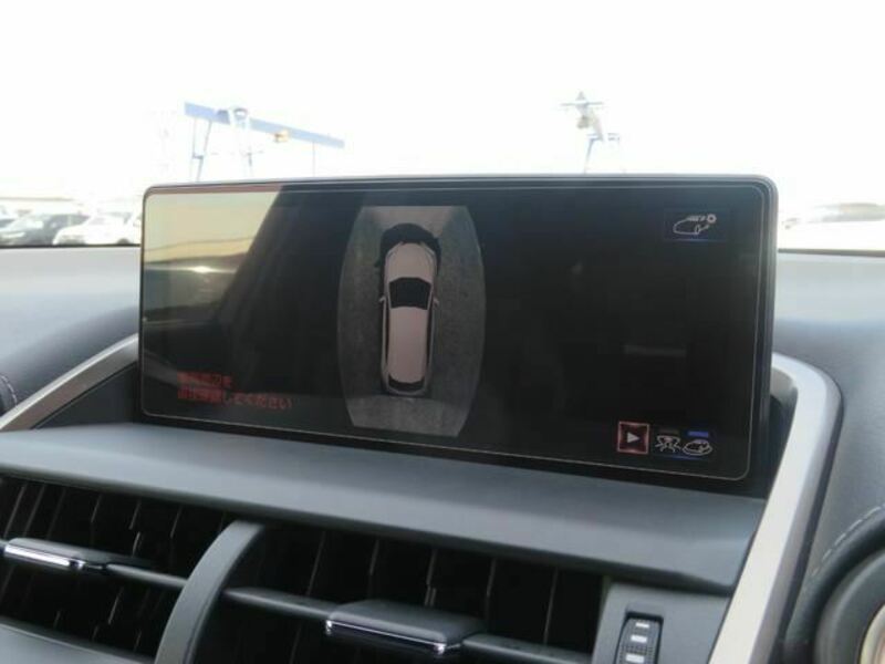 NX