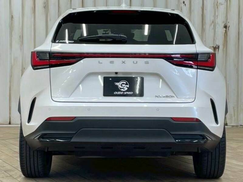 NX