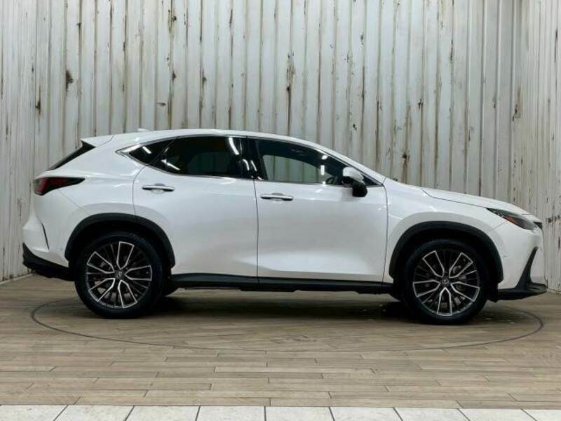NX