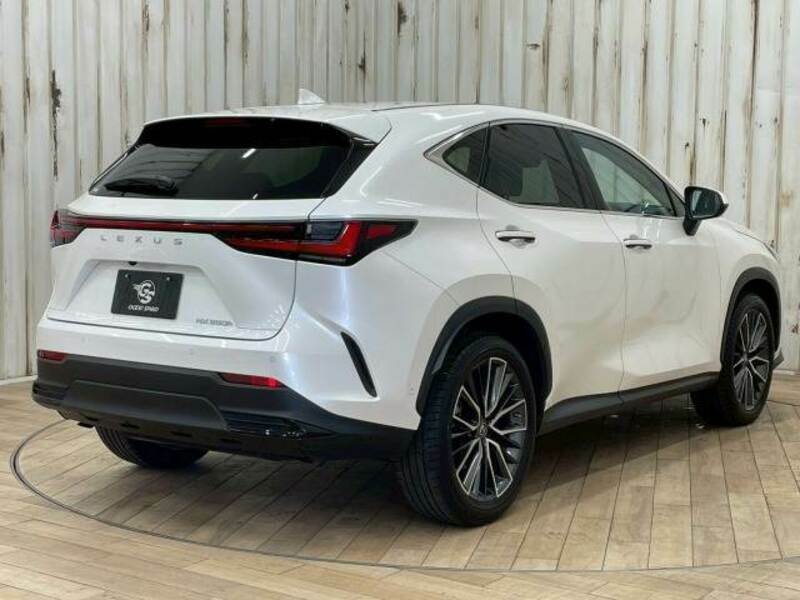 NX