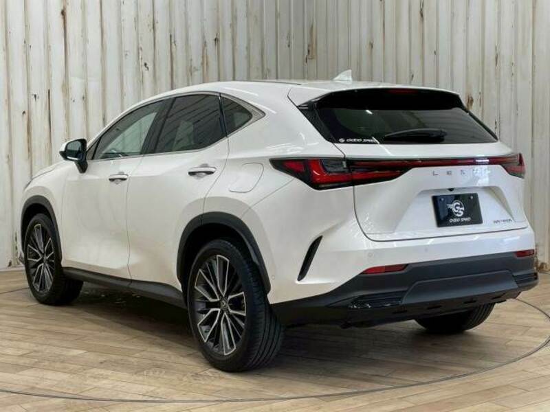 NX