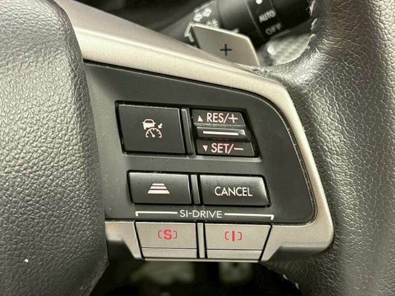 FORESTER-6