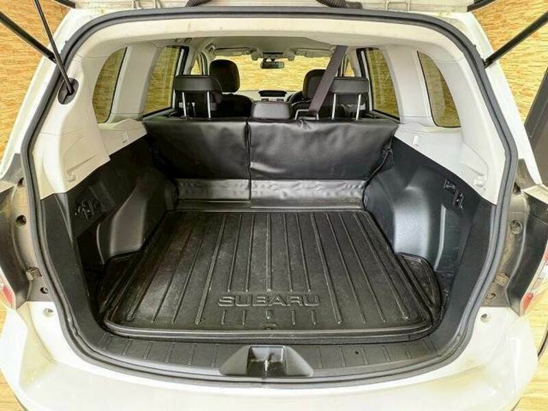 FORESTER-12