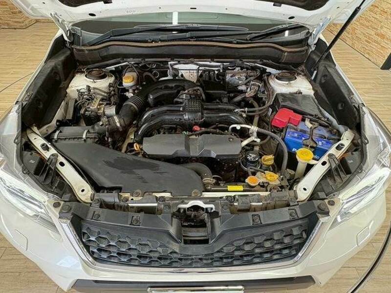 FORESTER-17