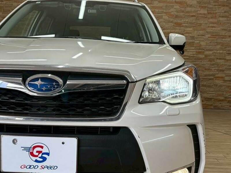 FORESTER-19