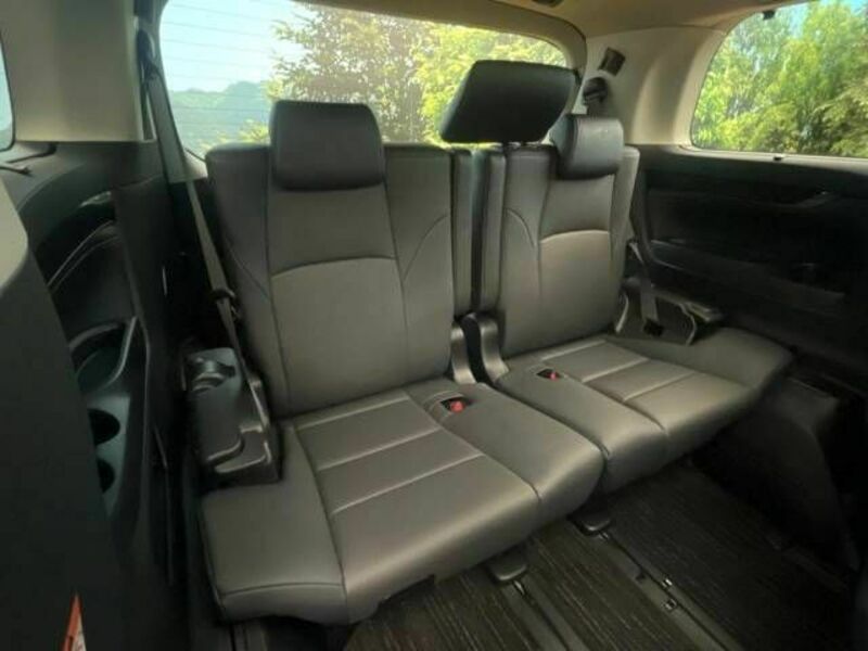 ALPHARD-10