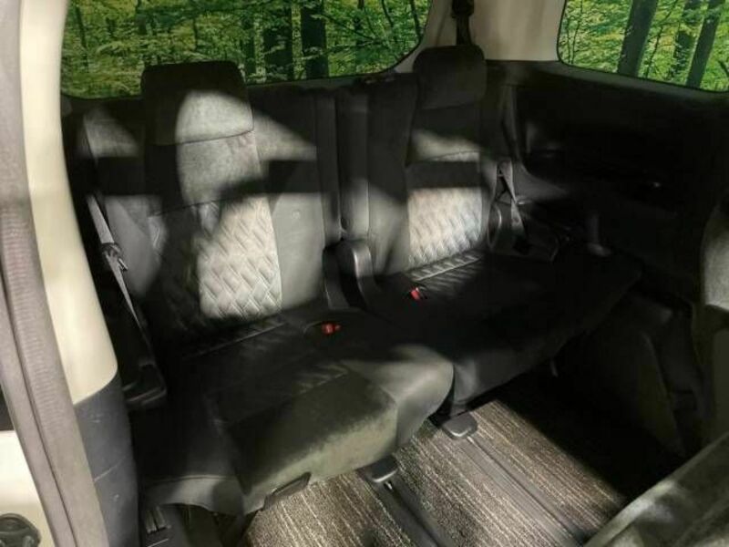 ALPHARD-10