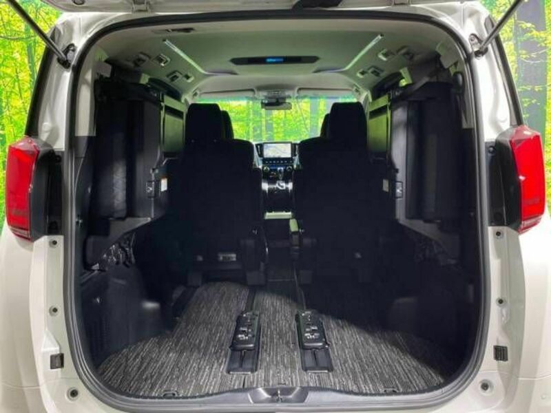 ALPHARD-11