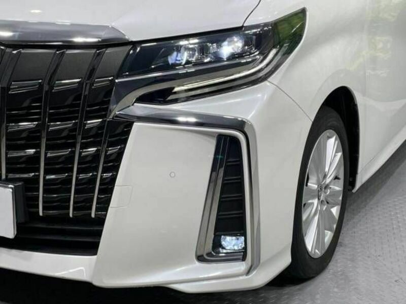 ALPHARD-13