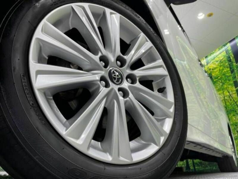 ALPHARD-14