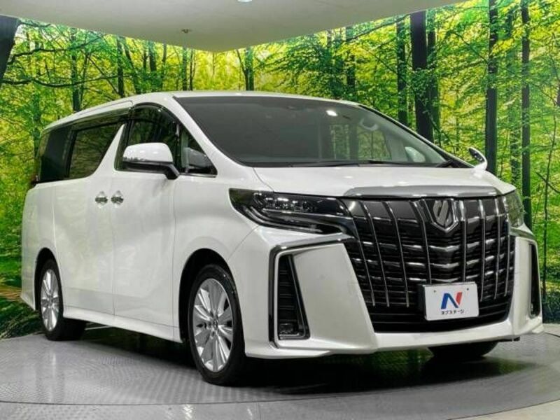 ALPHARD-17