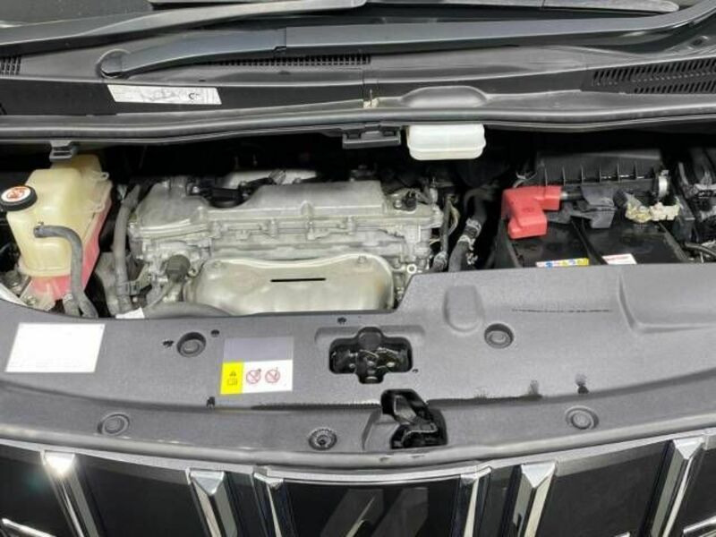 ALPHARD-19