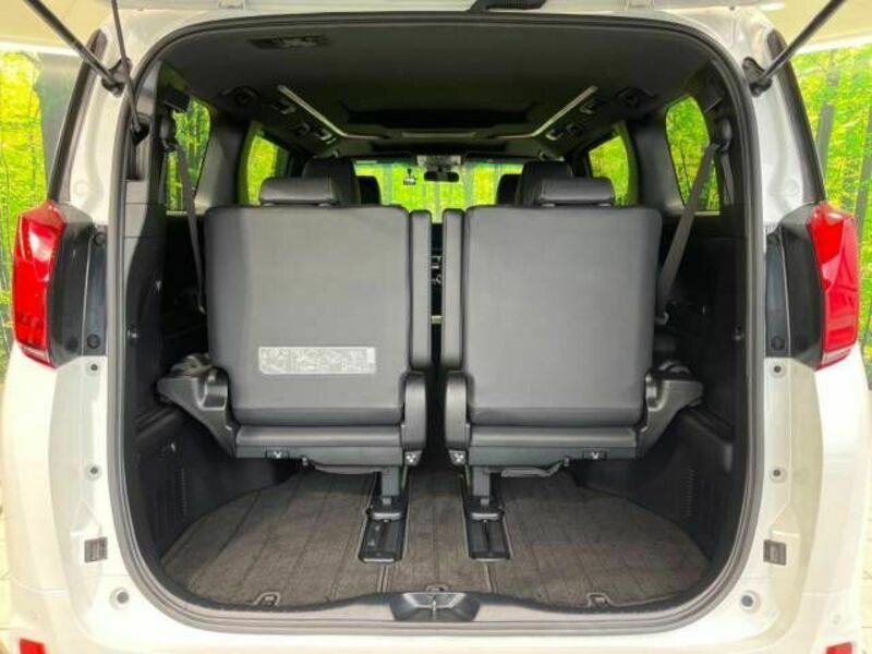 ALPHARD-10