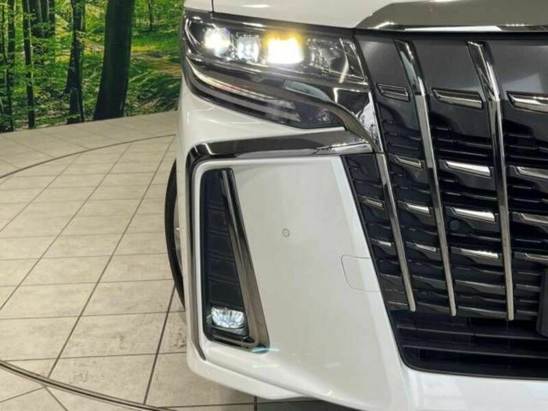 ALPHARD-12
