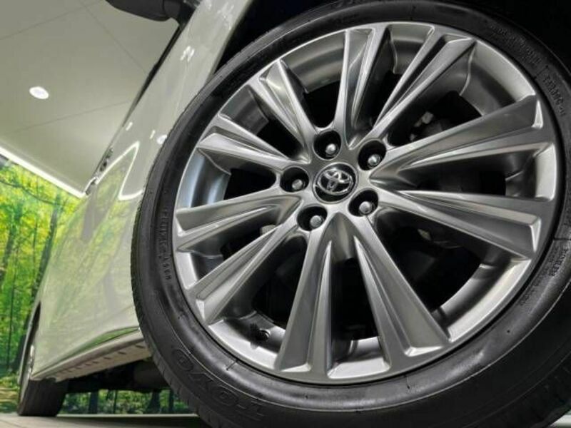 ALPHARD-13