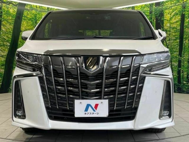 ALPHARD-14