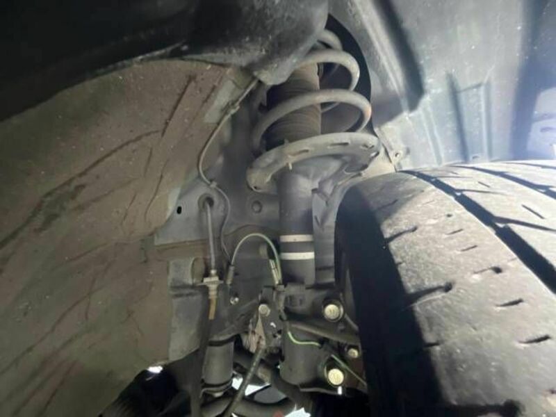 ALPHARD-19