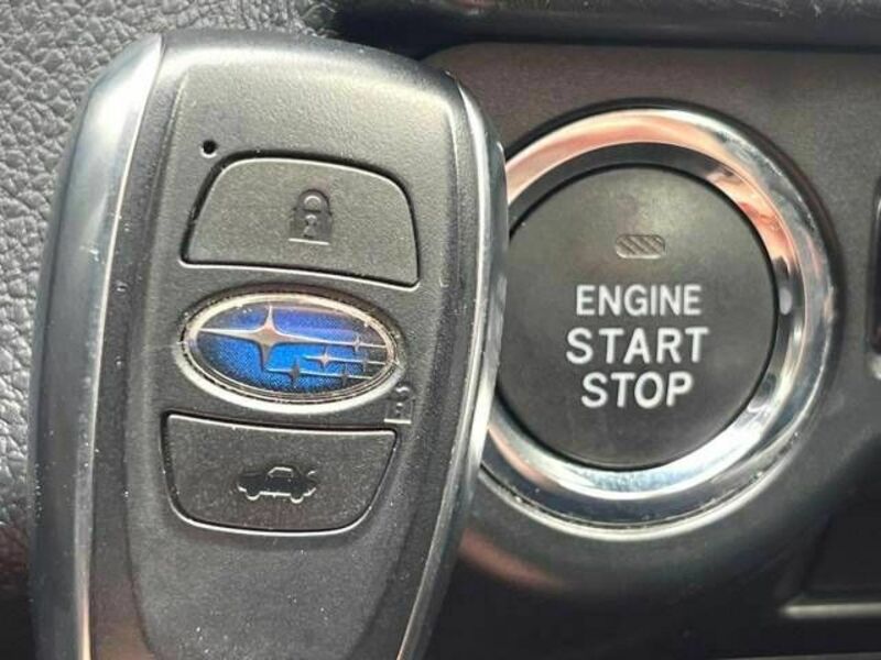 LEVORG-4