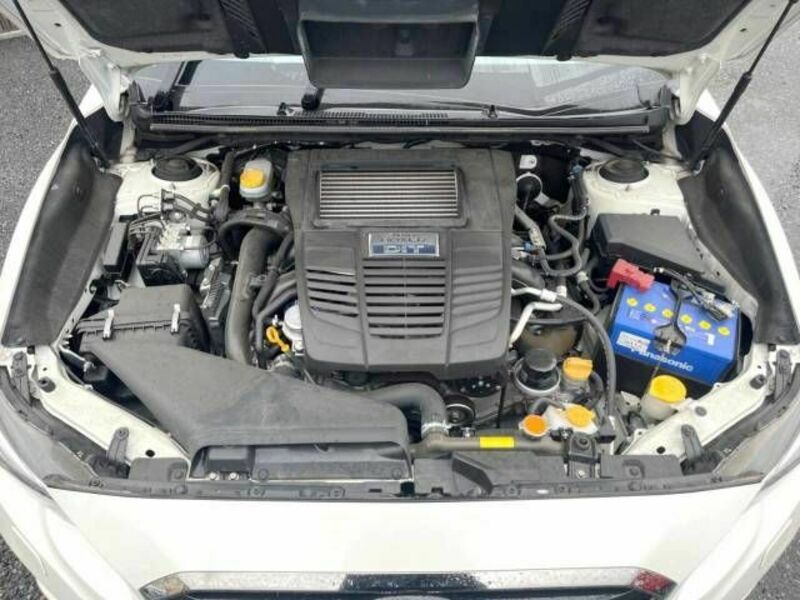 LEVORG-10