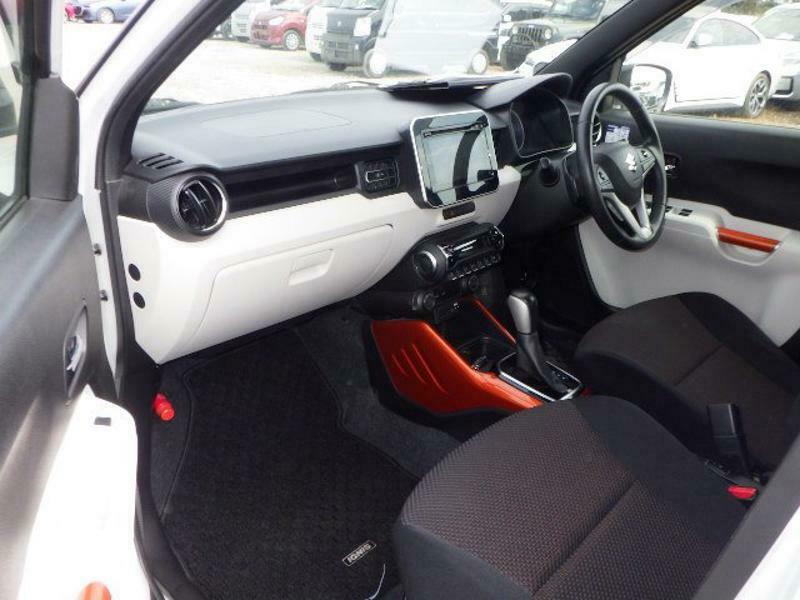 IGNIS-10