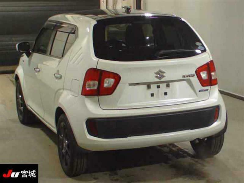 IGNIS-29