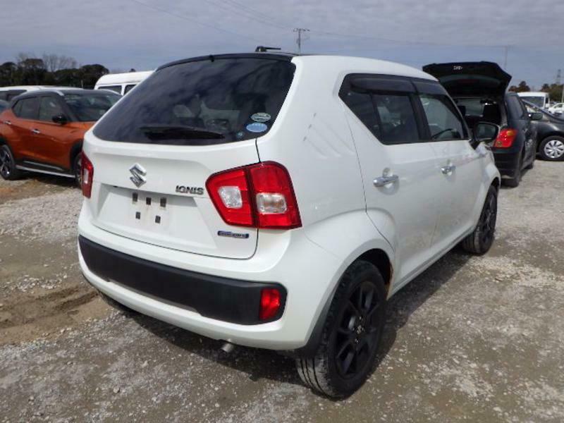 IGNIS-36