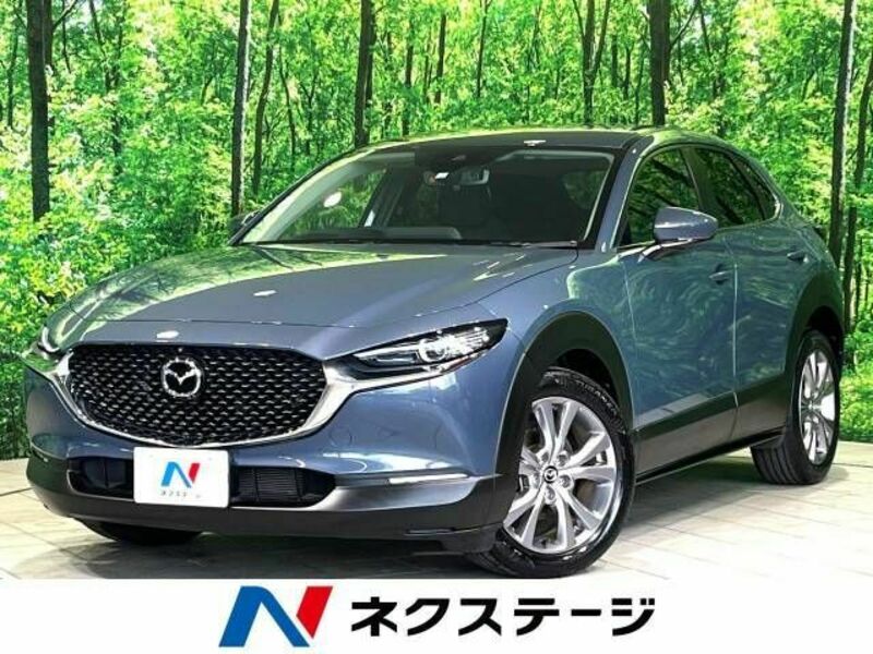 CX-30