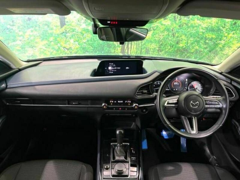 CX-30-1
