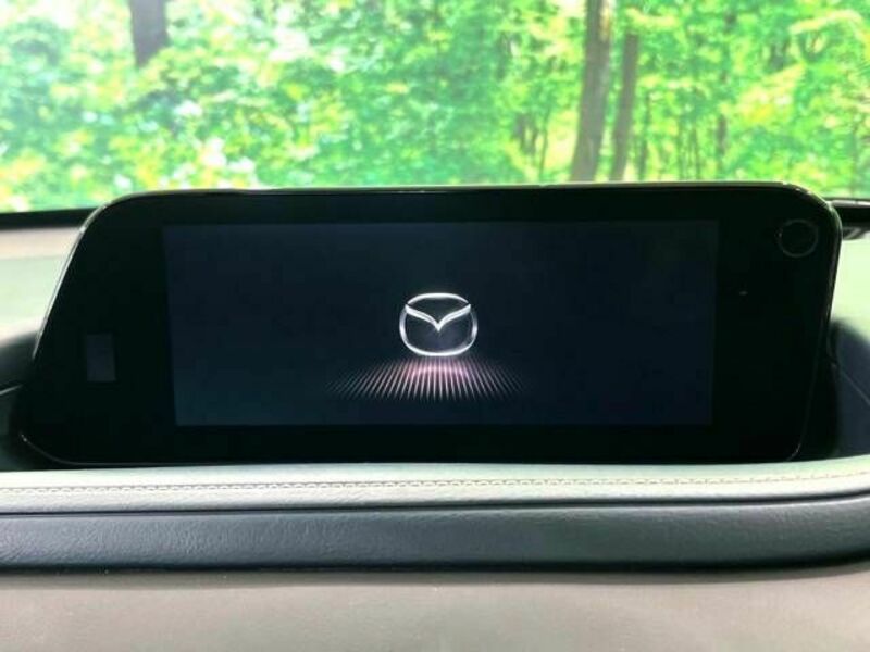 CX-30-2