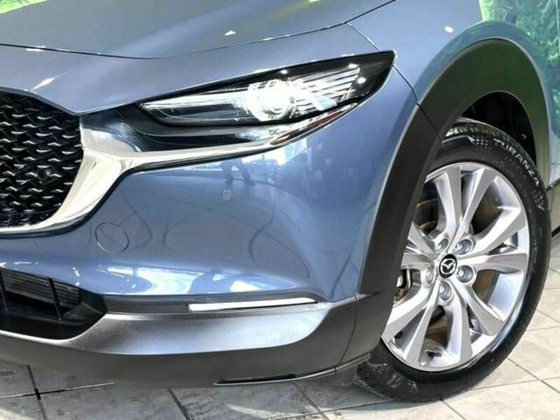CX-30-11