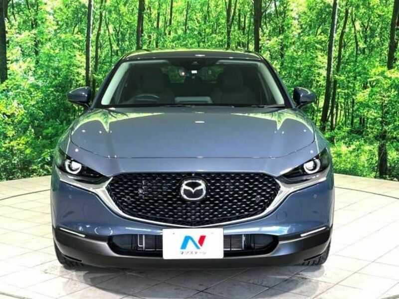 CX-30-13