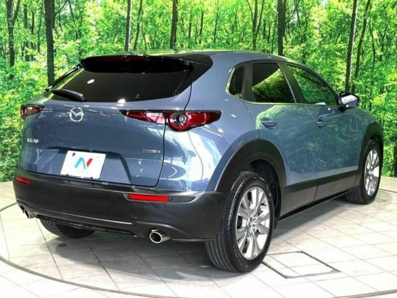 CX-30-16