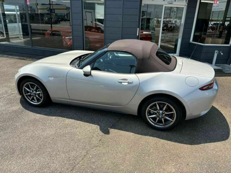 ROADSTER