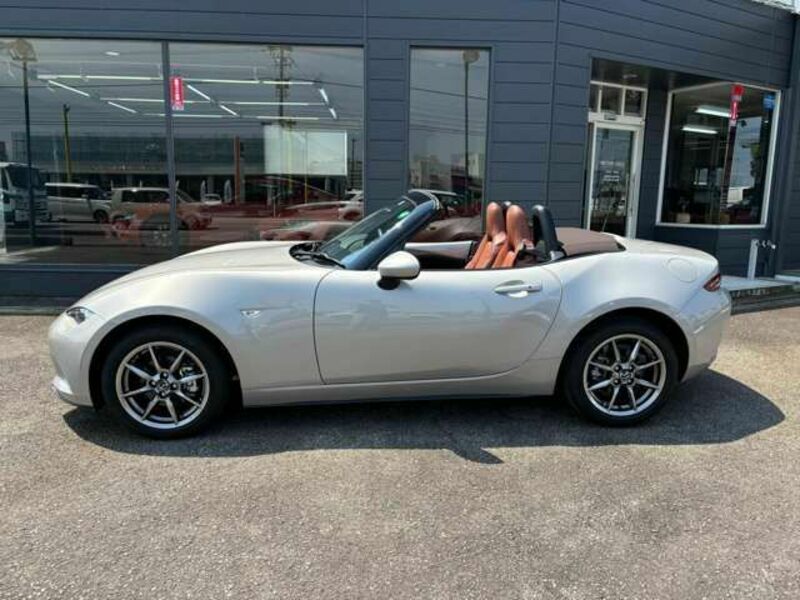 ROADSTER