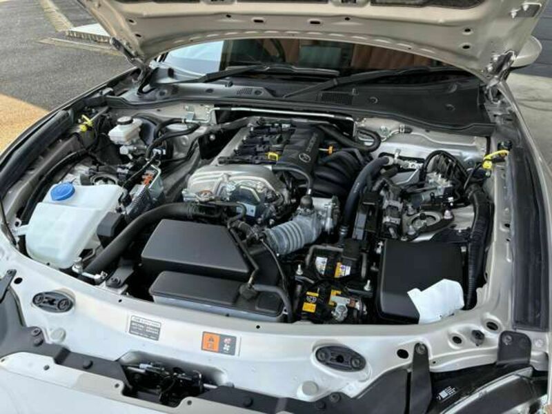ROADSTER