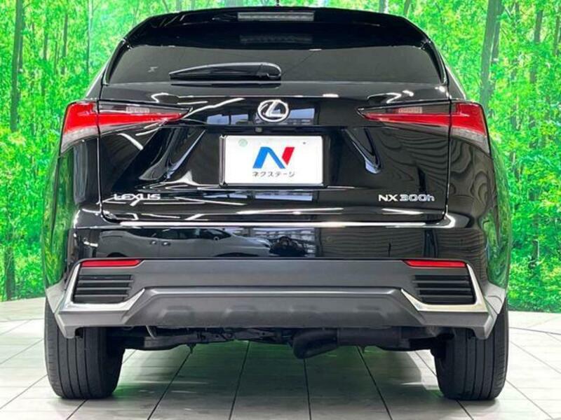 NX
