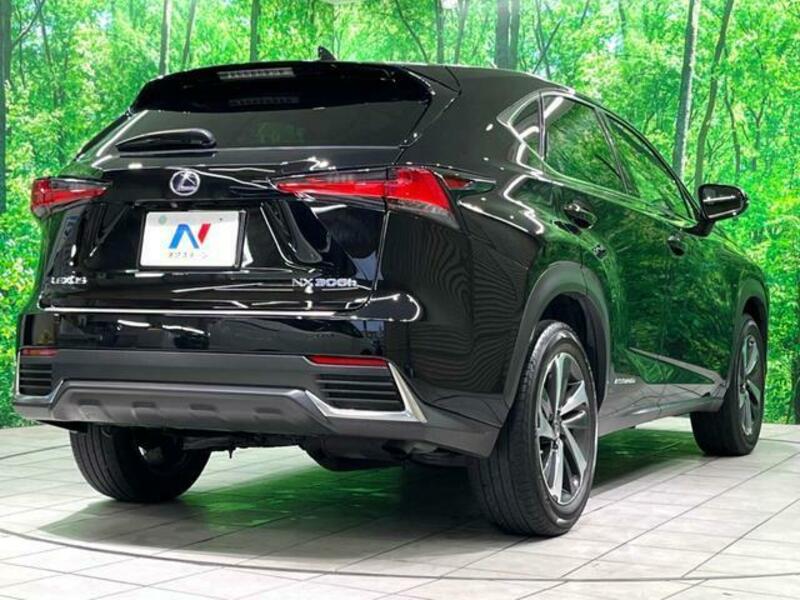NX