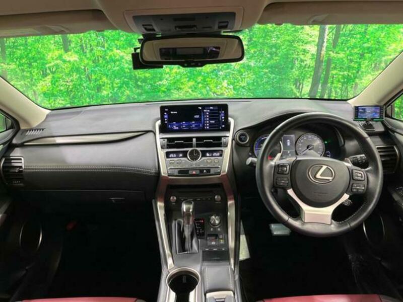 NX