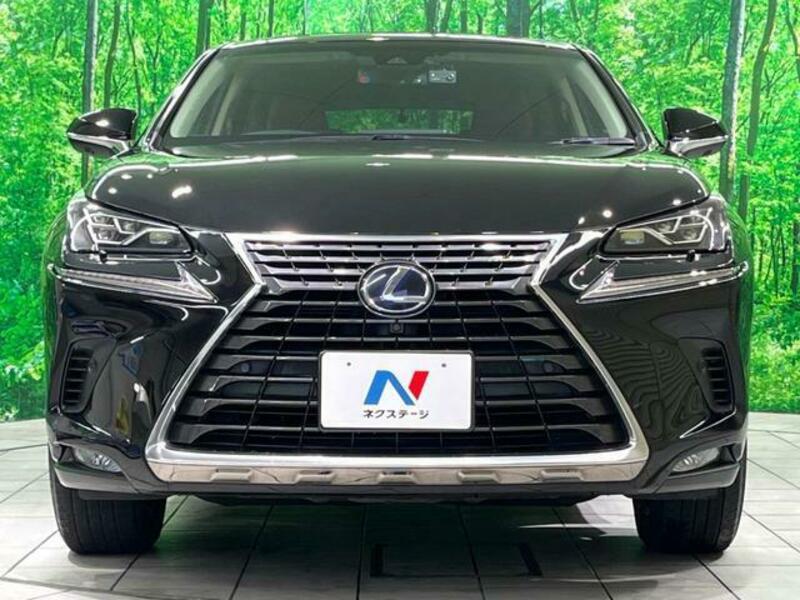 NX