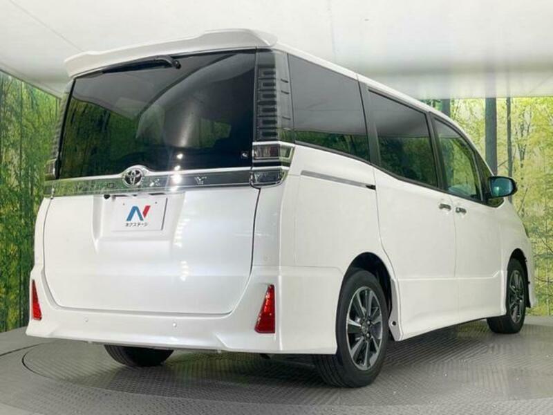VOXY-17