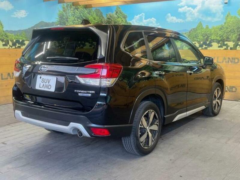 FORESTER