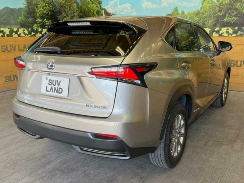 NX