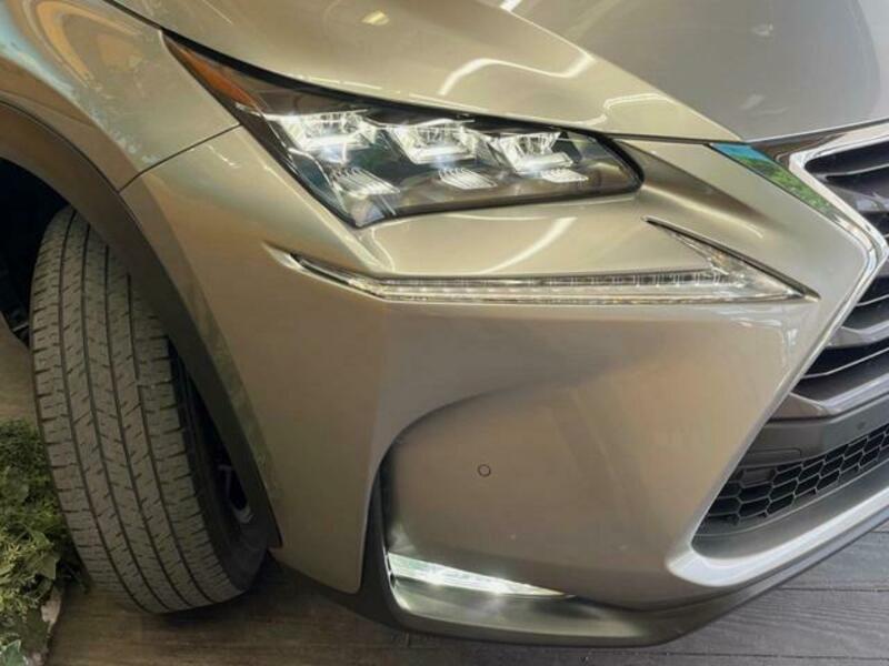 NX