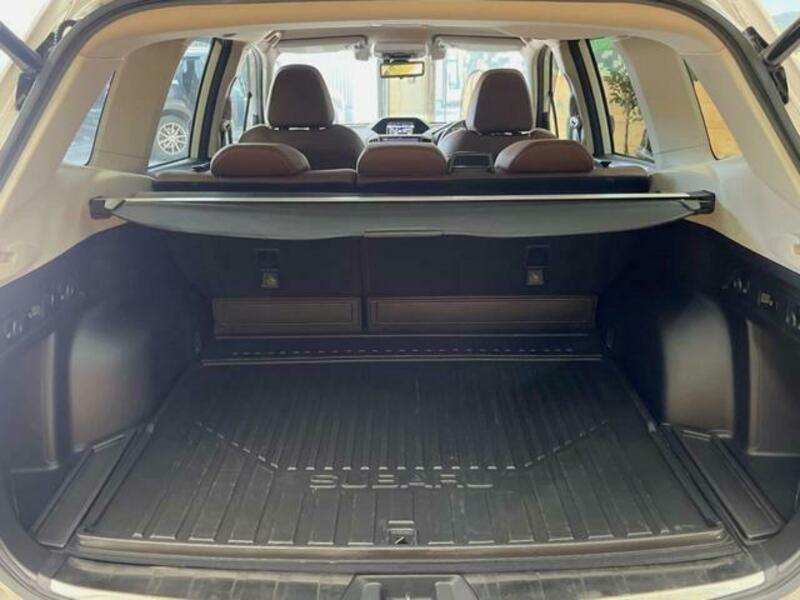 FORESTER-10