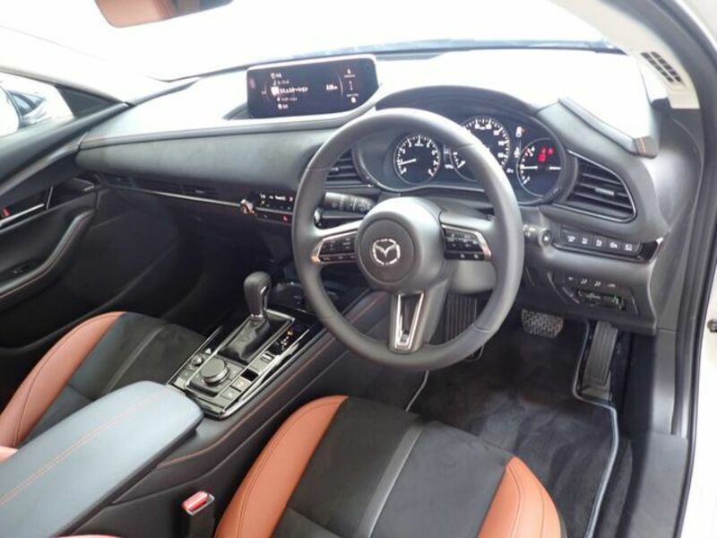 CX-30-1